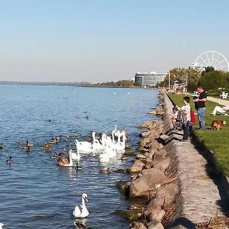 Studio In Siofok/balaton 38175 Apartament